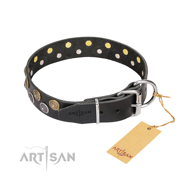 Daily use leather collar with embellishments for your  doggie
