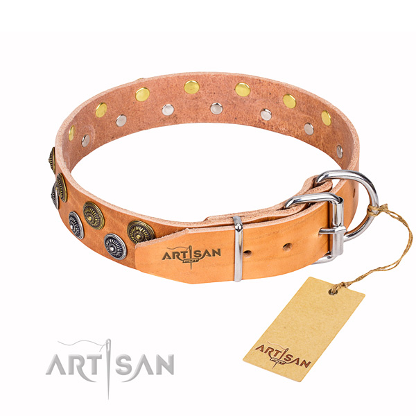 Amazing full grain genuine leather dog collar for daily walking