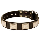 Leather Dog Collar With Vintage Massive Plates