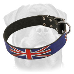 High quality leather Rottweiler     collar with exclusive design