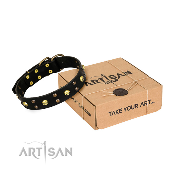 Everyday leather dog collar with elegant adornments