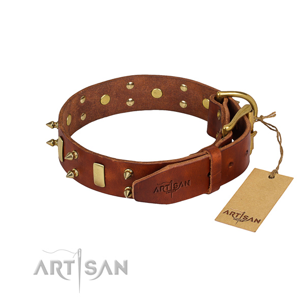 Natural leather dog collar with worked out leather surface