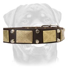 Multitasking leather dog collar