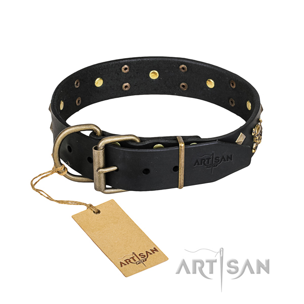 Heavy-duty leather dog collar with rust-proof details