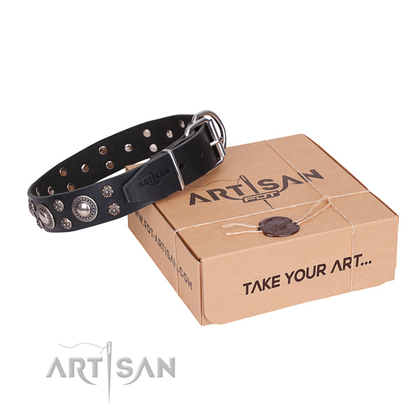 Casual leather dog collar with remarkable studs