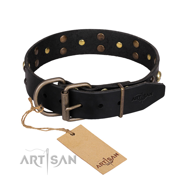Long-wearing leather dog collar with durable elements
