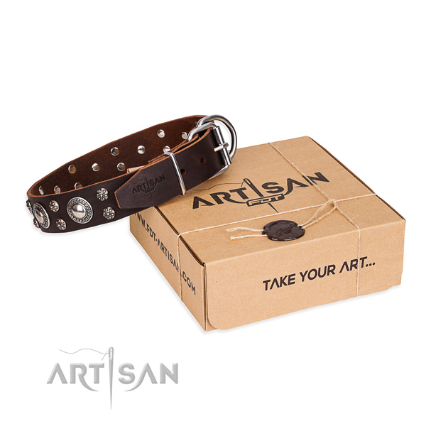 Daily leather dog collar with amazing adornments