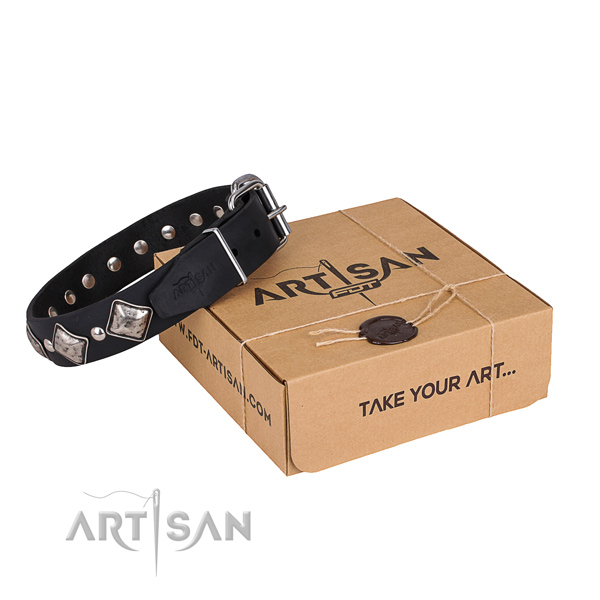 Day-to-day leather dog collar with stunning studs