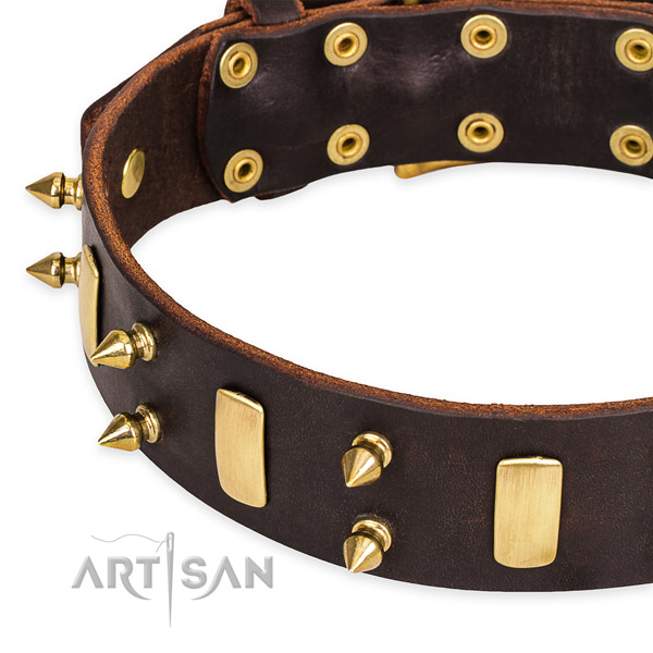 Adjustable leather Rottweiler  collar with extra strong brass plated fittings