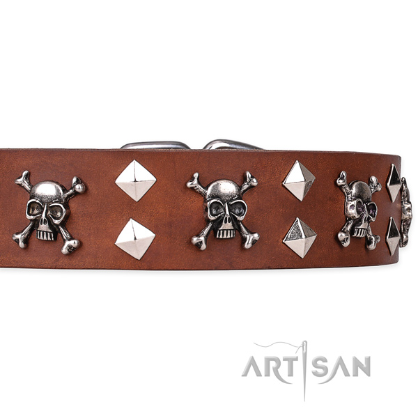Everyday leather dog collar with fancy adornments