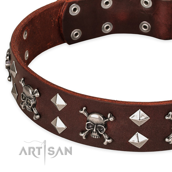 High quality leather dog collar for reliable use