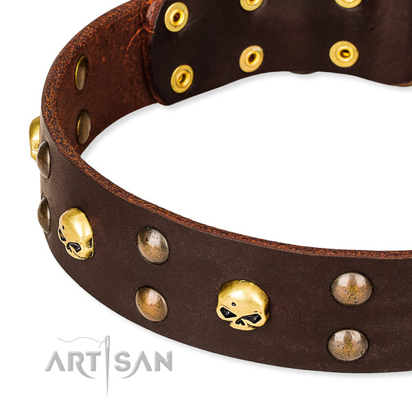 Everyday leather dog collar for training