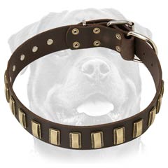 Fashion leather dog collar