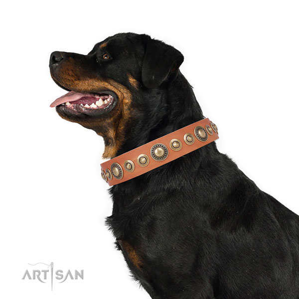 Strong buckle and D-ring on leather dog collar for walking in style