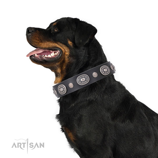 Corrosion proof buckle and D-ring on genuine leather dog collar for walking