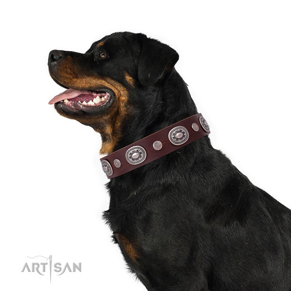 Corrosion resistant buckle and D-ring on full grain leather dog collar for everyday walking