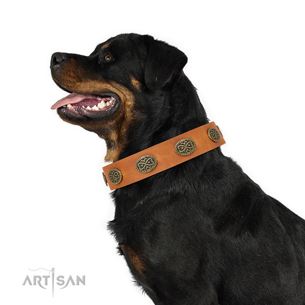 Impressive decorations on comfortable wearing genuine leather dog collar
