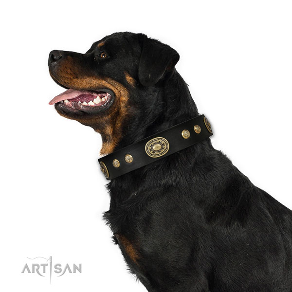 Unique decorations on daily walking dog collar