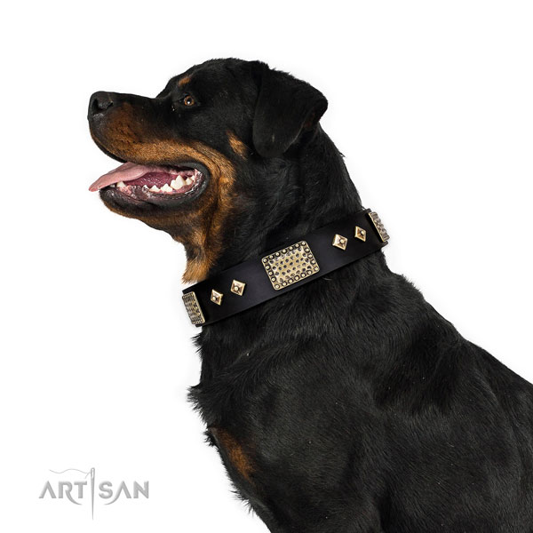 Strong walking dog collar of leather