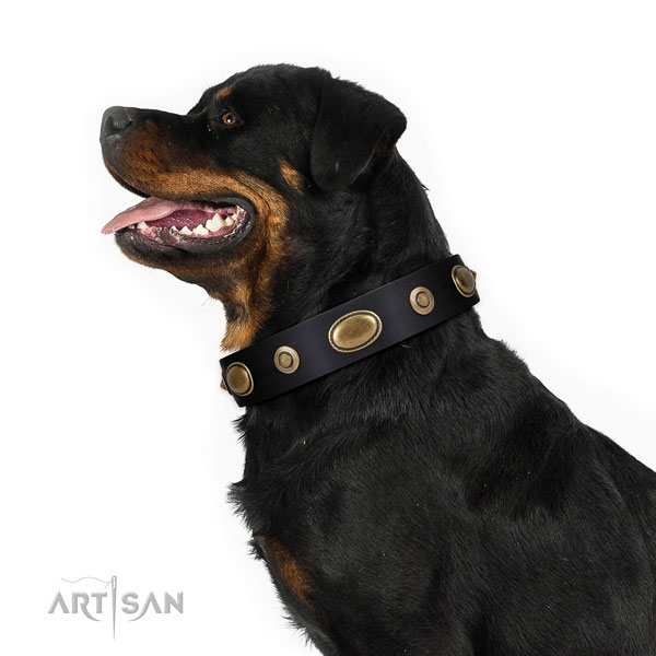 Handy use dog collar of leather with remarkable decorations