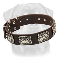 Decorated Walking Leather Dog Collar for Rottweiler