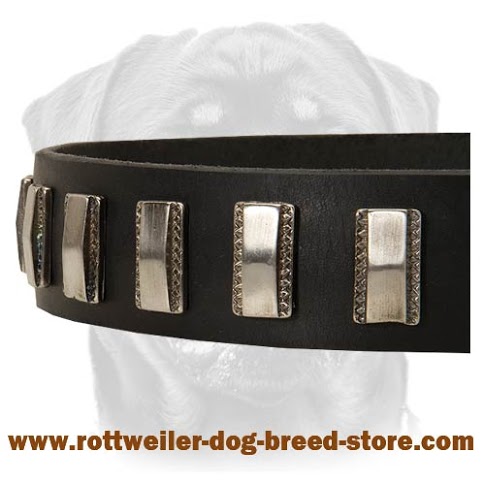 Walking Leather Dog Collar For Rottweiler