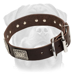 Awesome Leather Rottweiler Collar with Nickel-plated Plates