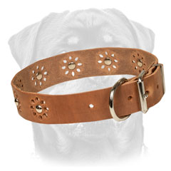 Firm Leather Rottweiler Collar Equipped with studs of flowers