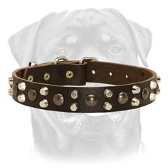 Leather dog collar with pyramids and studs