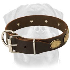 Adjustable leather dog collar for powerful Rottweilers