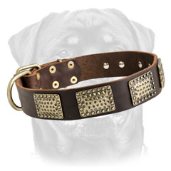 Topnotch leather dog collar for Rottweilers