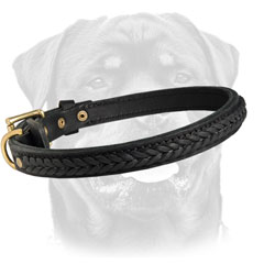 Decorated dog collar for Molosser dogs