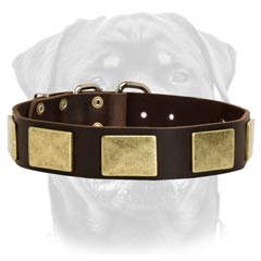 Safe walking leather dog collar