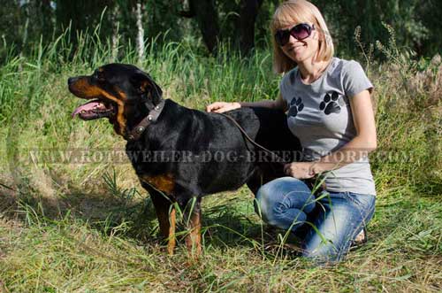 Exclusive Leather Dog Collar for Rottweiler Breed