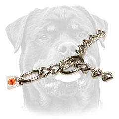 Strong Rottweiler collar in silver color