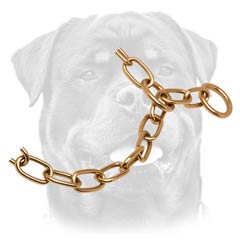 Strong Rottweiler collar in goldish color