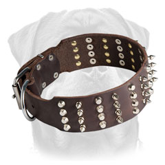 Leather     Rottweiler collar with nickel plated decoration