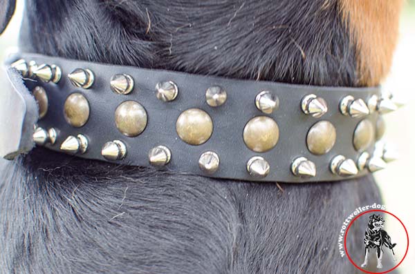 Rottweiler leather collar with 2 rows of spikes and 1 row of studs