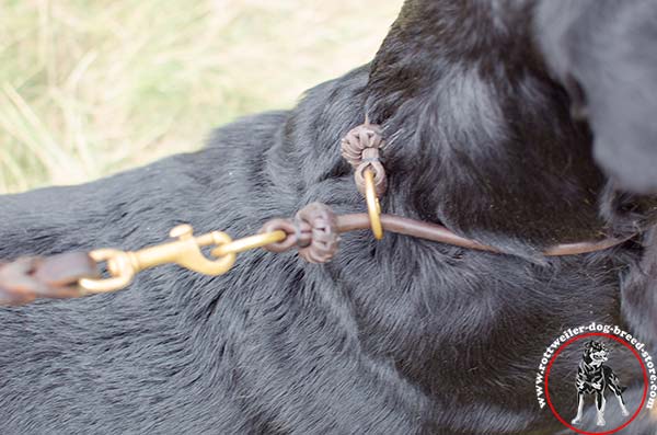 Rottweiler leather collar with 2 O-rings