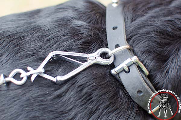 Strong Rottweiler collar