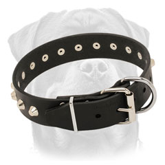 Durable leather collar with nickel pyramids for Rottweiler