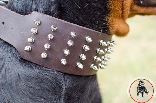 Handcrafted with spikes Rottweiler collar