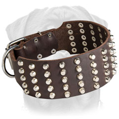 High quality leather Rottweiler collar with fashionable pyramids