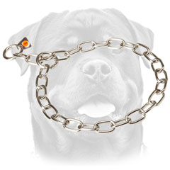 Metal Rottweiler Collar for     obedience training