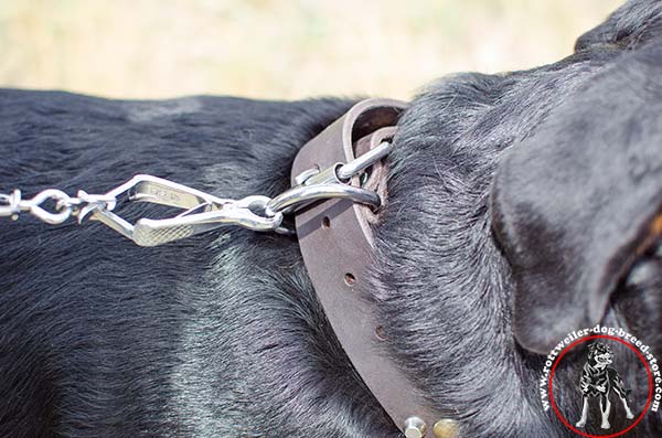 Rottweiler collar with strong D-ring