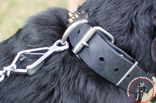Rottweiler collar with sturdy fittings 