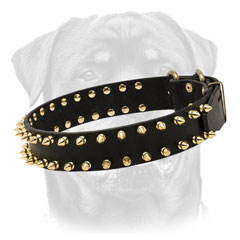 High quality leather Rottweiler collar     with fashion design