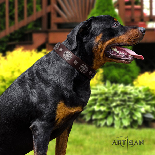 Rottweiler handcrafted collar with stunning decorations for your four-legged friend
