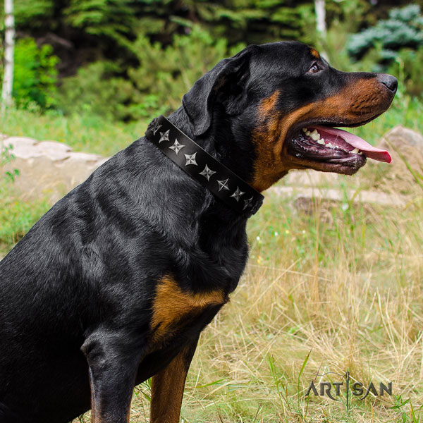 Rottweiler best quality collar with exceptional embellishments for your dog