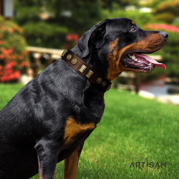 Rottweiler best quality collar with stylish design decorations for your doggie